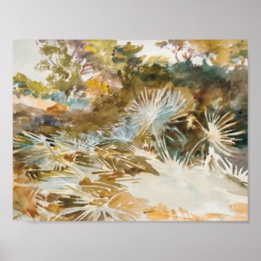 John Singer Sargent - Landschap met Palmettos Poster (Voorkant)