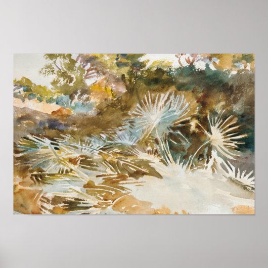 John Singer Sargent - Landschap met Palmettos Poster (Voorkant)