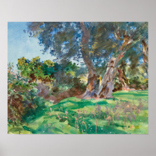 John Singer Sargent - Olive Trees, Corfu Poster