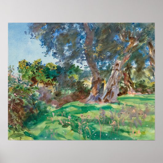 John Singer Sargent - Olive Trees, Corfu Poster (Voorkant)