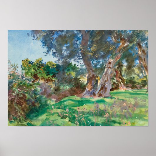 John Singer Sargent - Olive Trees, Corfu Poster (Voorkant)