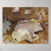 John Singer Sargent - Oxen Poster (Voorkant)