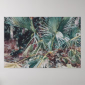 John Singer Sargent - Palmettos Poster (Voorkant)