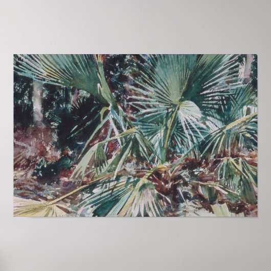 John Singer Sargent - Palmettos Poster (Voorkant)