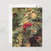 John Singer Sargent: Pomegranaten Briefkaart (Voorkant / Achterkant)