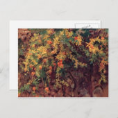 John Singer Sargent-Pomegranates Briefkaart (Voorkant / Achterkant)