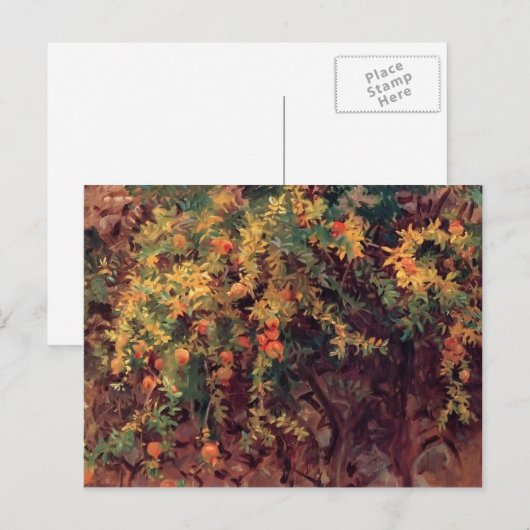 John Singer Sargent-Pomegranates Briefkaart (Voorkant / Achterkant)