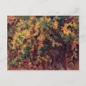 John Singer Sargent-Pomegranates Briefkaart (Voorkant)