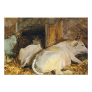 John Singer Sargent - Three Oxen Foto Afdruk