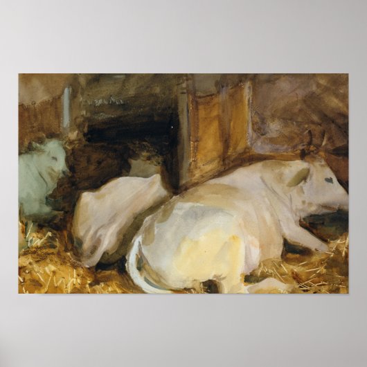John Singer Sargent - Three Oxen Poster (Voorkant)