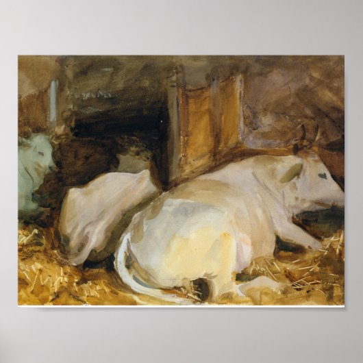 John Singer Sargent - Three Oxen Poster (Voorkant)