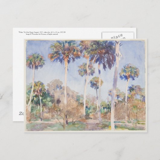 John Singer Sargent Waterverf - Palms Briefkaart (Voorkant / Achterkant)