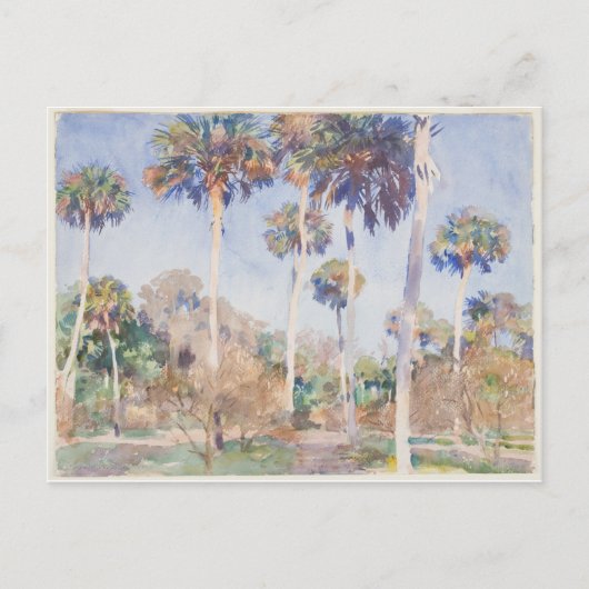 John Singer Sargent Waterverf - Palms Briefkaart (Voorkant)