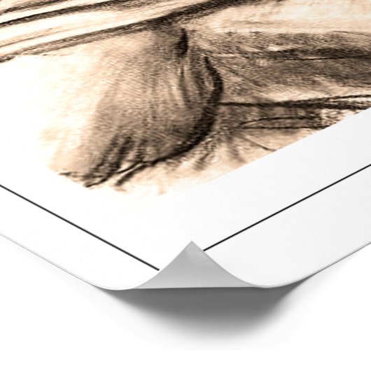 John Singer Sargent Zedign Art Poster #281-2 (Hoek)