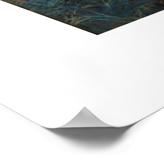 John Singer Sargent's anjer, Lily, Lily, Roos Poster (Hoek)