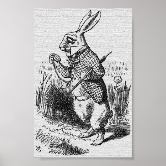 John Tenniel Illustration Alice in Wonderland Poster (Voorkant)