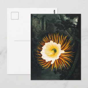 John Thornton De nachtblazende Cereus Botanical Briefkaart