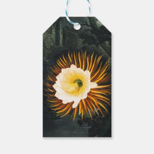 John Thornton De nachtblazende Cereus Botanical Cadeaulabel (Voorkant)