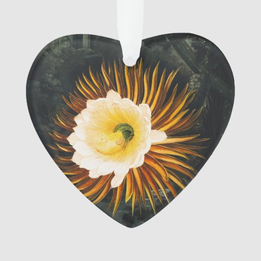 John Thornton De nachtblazende Cereus Botanical Ornament (voorkant)