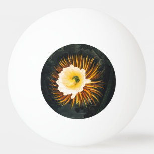 John Thornton De nachtblazende Cereus Botanical Pingpongbal