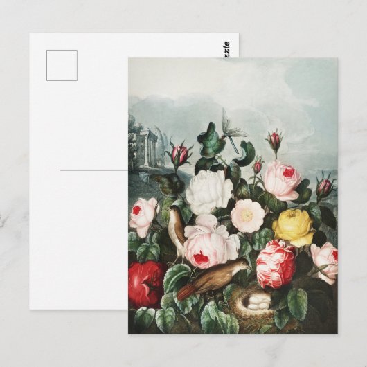 John Thornton Rozen uit De Tempel van Flora Briefkaart (Voorkant / Achterkant)