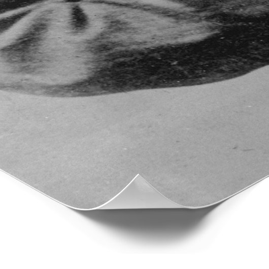 John Wilkes Booth Poster (Hoek)