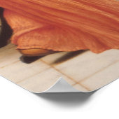 John William Godward - Lesbia met haar Sparrow Poster (Hoek)