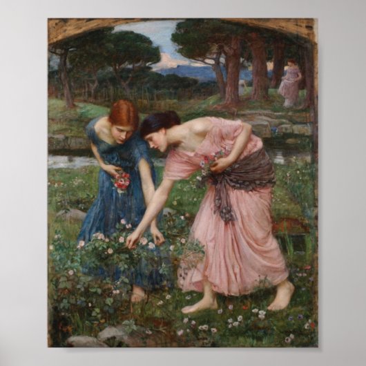 John William Waterhouse - Gathering Rosebuds Poster (Voorkant)