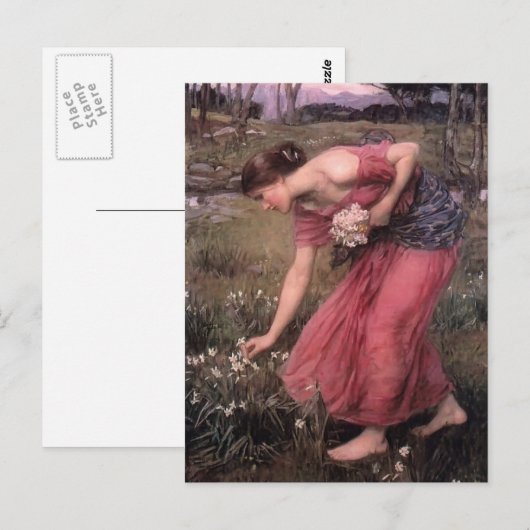 John William Waterhouse- Narcissus Briefkaart (Voorkant / Achterkant)