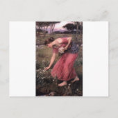 John William Waterhouse - Narcissus - Fine Art Briefkaart (Voorkant)
