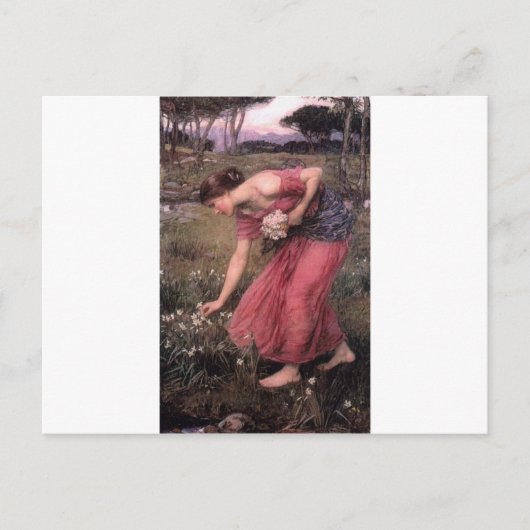 John William Waterhouse - Narcissus - Fine Art Briefkaart (Voorkant)