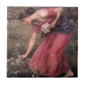 John William Waterhouse - Narcissus - Fine Art Tegeltje (Voorkant)