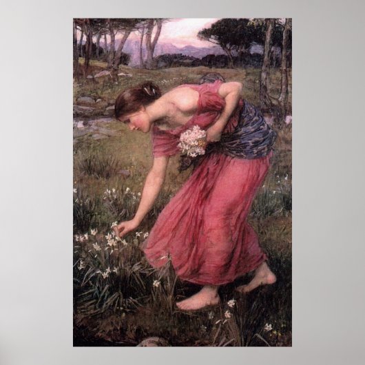 John William Waterhouse - Narcissus - Print Poster (Voorkant)