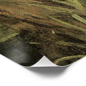 John William Waterhouse Perfect Poster (Hoek)