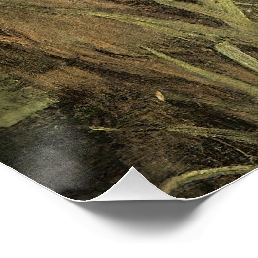 John William Waterhouse Perfect Poster (Hoek)