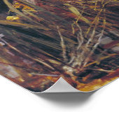 John William Waterhouse The Lady of Shalott Poster (Hoek)