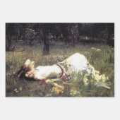 John Williams Waterhouse Pre Raphaelite Inpakpapier Vel (Voorkant 2)