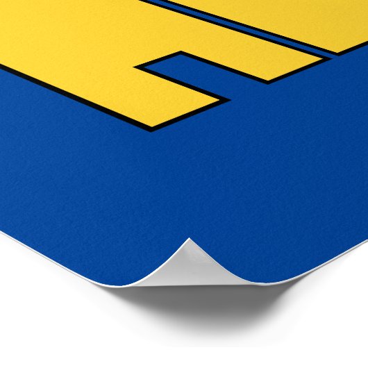 Johnny Bravo - Hunk Poster (Hoek)