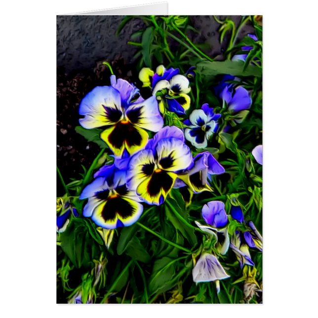 Johnny Jump Up (Voorkant)