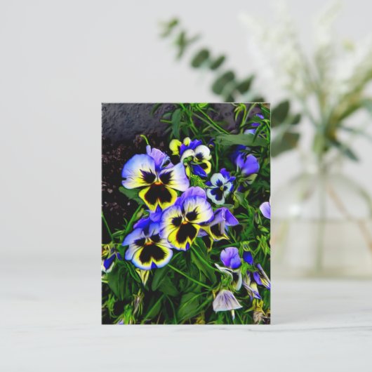 Johnny Jump Up Briefkaart (Staand voorkant)