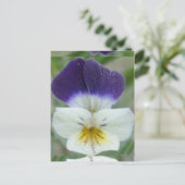 Johnny Jump-up Flower Pic Briefkaart (Staand voorkant)