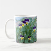 Johnny Jump-ups - mok (Links)