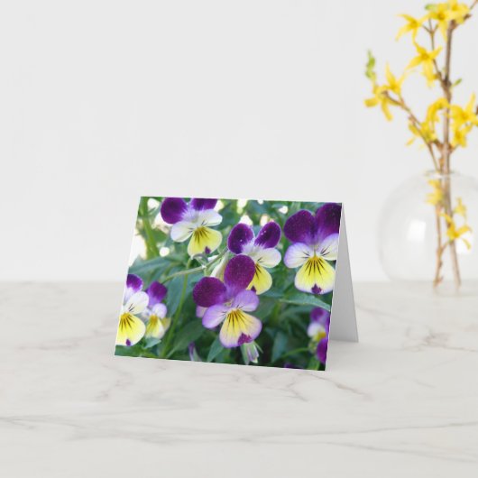 Johnny Jump-Ups Note Card Kaart (Gele Bloem)