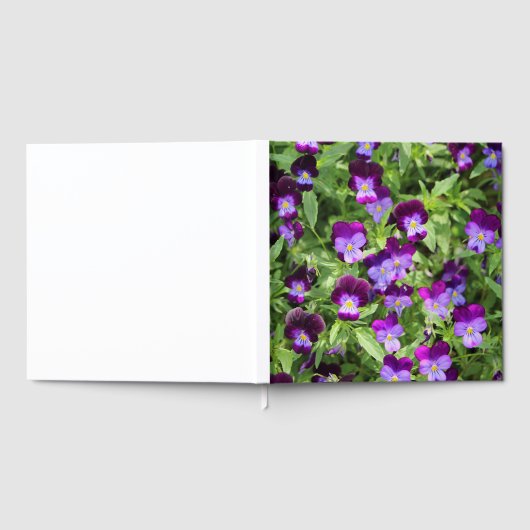 Johnny Pop Ups Gastenboek (Volledig)