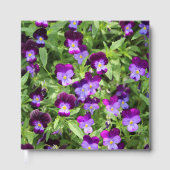 Johnny Pop Ups Gastenboek (Voorkant)