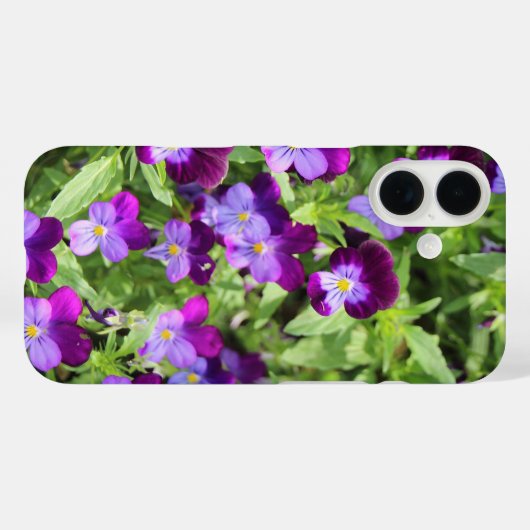 Johnny Pop Ups iPhone / iPad case (Achterkant (horizontaal))