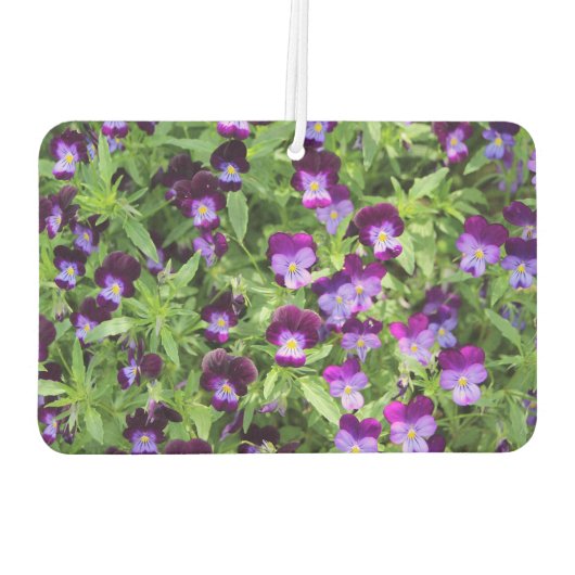 Johnny Pop Ups Luchtverfrisser (Achterkant)