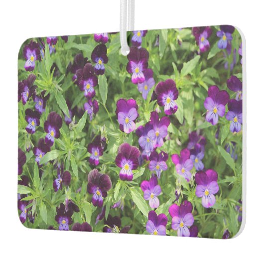 Johnny Pop Ups Luchtverfrisser (Links)