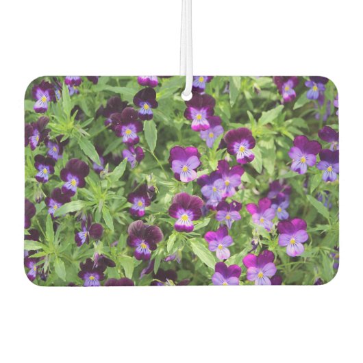 Johnny Pop Ups Luchtverfrisser (Voorkant)