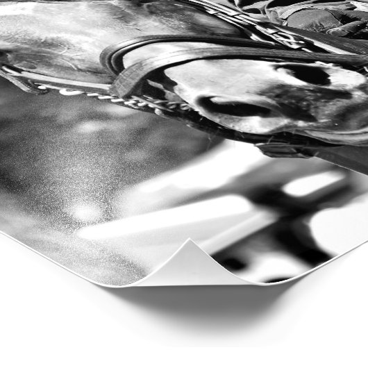 Johnny Velasquez Foto Afdruk (Hoek)